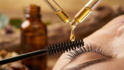 Almond Oil Uses That Support Fuller Eyelash Growth and Thicker Brows Naturally