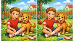 Can You Quickly Identify the 3 Hidden Differences in This Boy and Dog Picture?