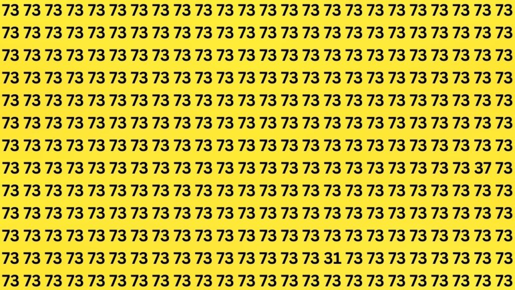 Optical Illusion Challenge