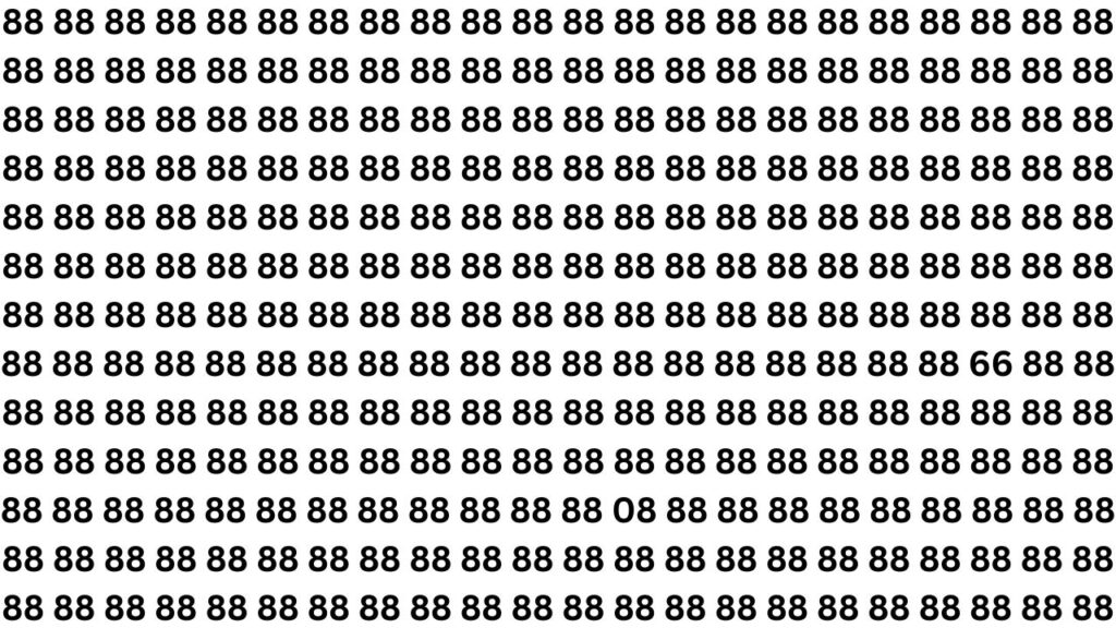 Optical Illusion Test