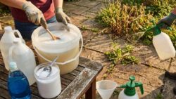How to make an extremely powerful weedkiller with salt?