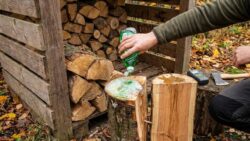 The washing-up liquid trick to check if your firewood is dry before winter