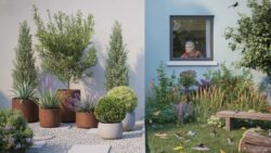 This Popular Garden Trend Is Wrecking Native Wildlife and Ecologists Are Furious